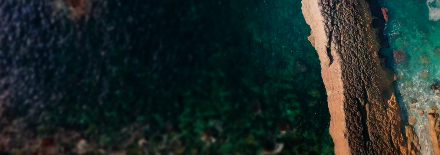 GRIFFIN Global Tech AI Company Hybrid-Shore Case Study